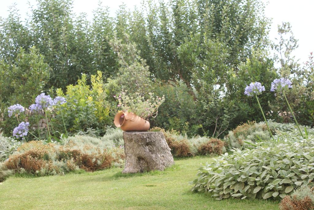 Il Granello Di Senape In Valle D'Itria Konuk evi Locorotondo Dış mekan fotoğraf